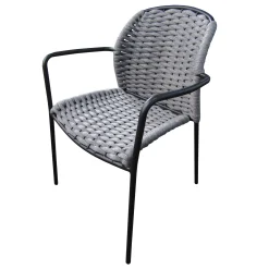 Silla Palma c/brazo